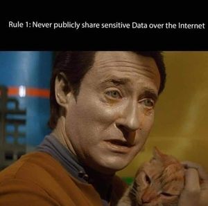 Meet your Posher, Benjamin